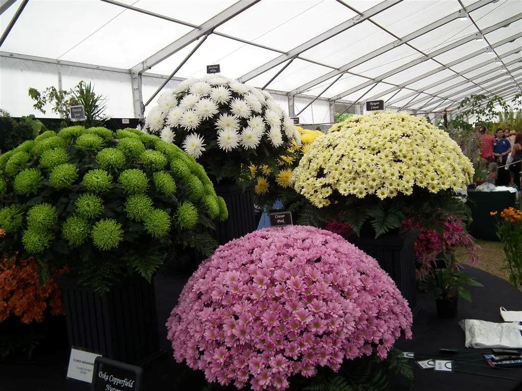 Floral marquee in the long water area 31